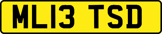 ML13TSD