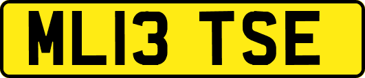 ML13TSE