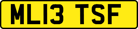 ML13TSF