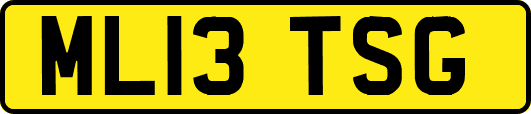 ML13TSG