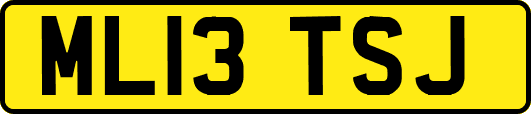 ML13TSJ