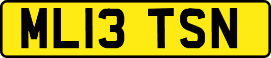 ML13TSN