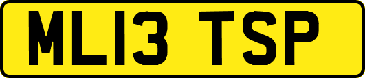 ML13TSP