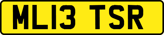 ML13TSR