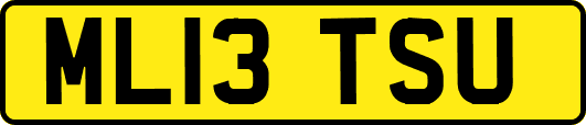ML13TSU