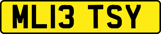 ML13TSY