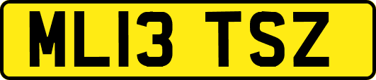 ML13TSZ