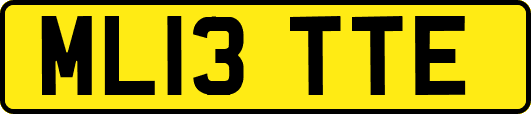 ML13TTE