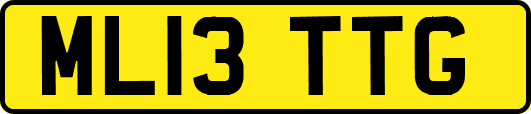 ML13TTG