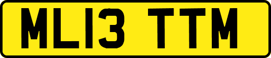 ML13TTM