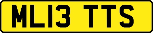 ML13TTS