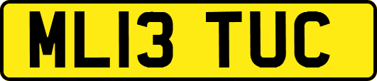 ML13TUC