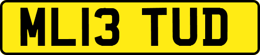 ML13TUD