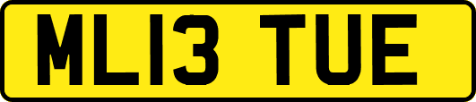 ML13TUE