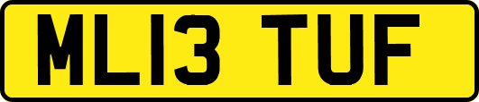 ML13TUF