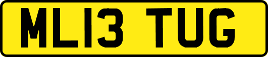 ML13TUG