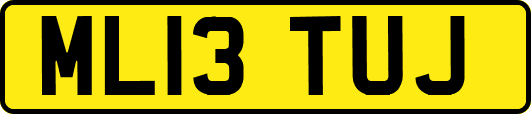 ML13TUJ