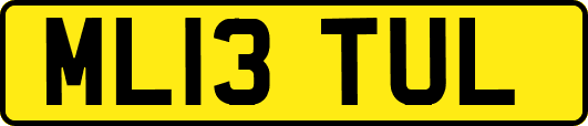 ML13TUL