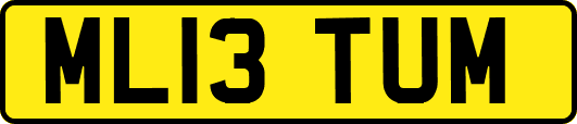 ML13TUM
