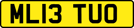 ML13TUO
