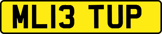 ML13TUP