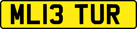 ML13TUR