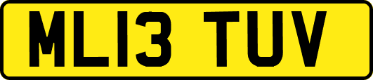 ML13TUV