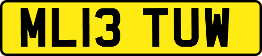 ML13TUW
