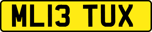 ML13TUX