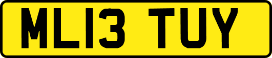ML13TUY
