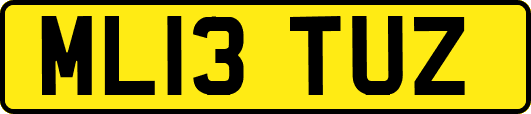 ML13TUZ
