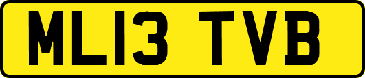 ML13TVB