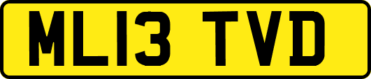 ML13TVD