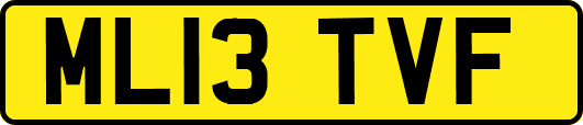ML13TVF