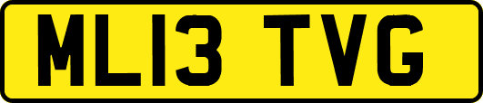 ML13TVG