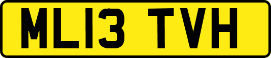 ML13TVH