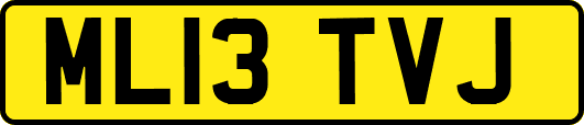 ML13TVJ