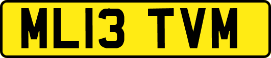 ML13TVM