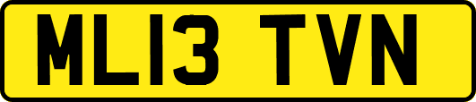 ML13TVN