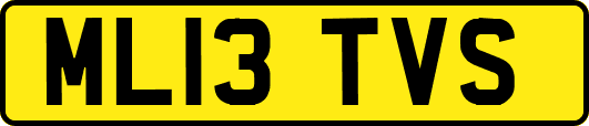 ML13TVS