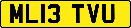 ML13TVU