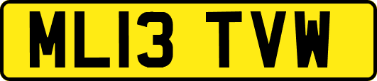 ML13TVW