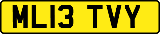 ML13TVY