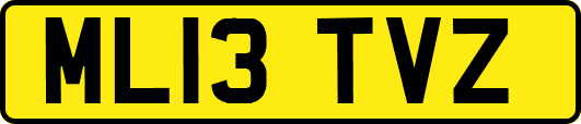 ML13TVZ