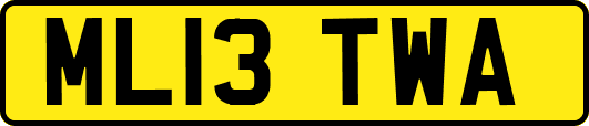 ML13TWA