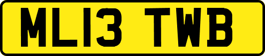 ML13TWB