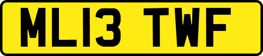 ML13TWF