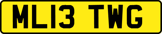 ML13TWG