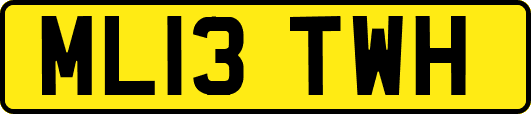 ML13TWH