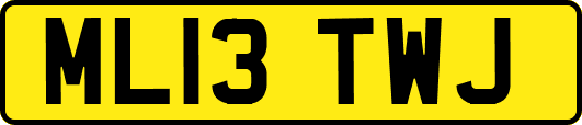 ML13TWJ